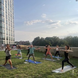 people doing yoga outdoors