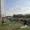 people doing yoga outdoors