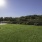 a grassy area with a building in the background